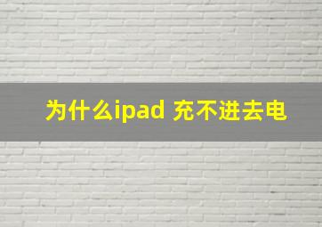 为什么ipad 充不进去电